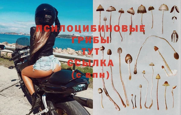 таблы Приозерск