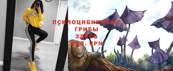 скорость Протвино