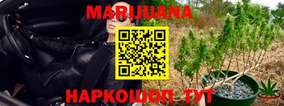 спайс Малгобек