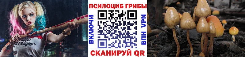 мориарти наркотические препараты  Верхняя Салда  Галлюциногенные грибы мухоморы 