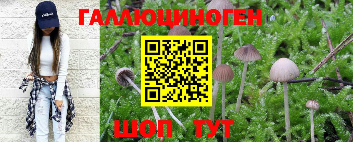 Галлюциногенные грибы Magic Shrooms Верхняя Салда