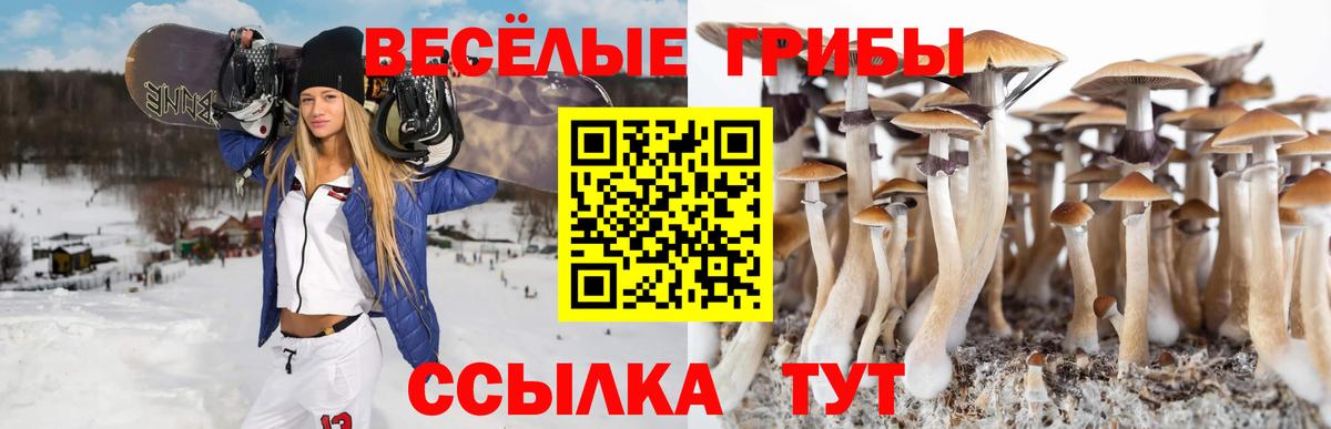 Псилоцибиновые грибы Magic Shrooms  Галлюциногенные грибы Cubensis  Верхняя Салда 