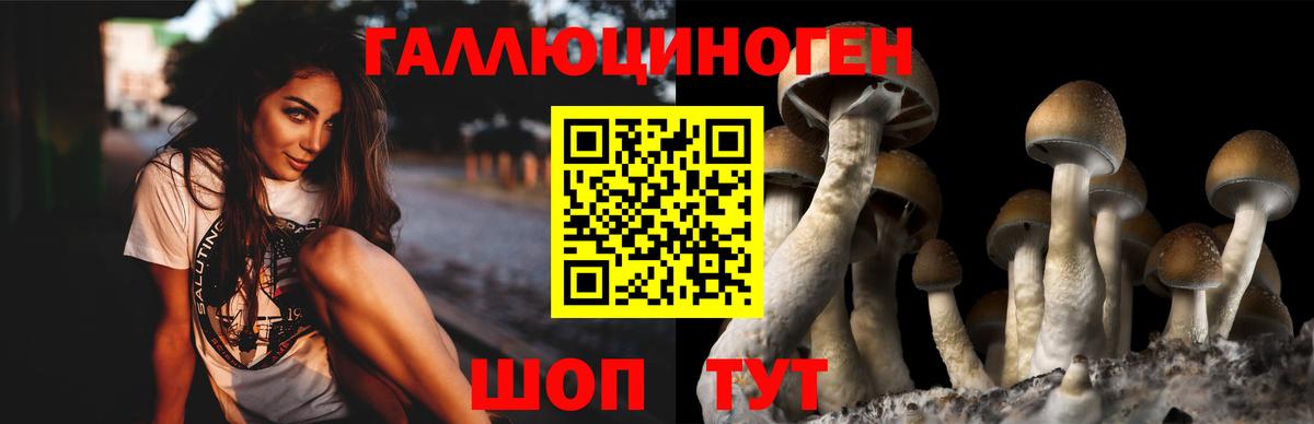 Псилоцибиновые грибы ЛСД  Вход с VPN  Верхняя Салда 